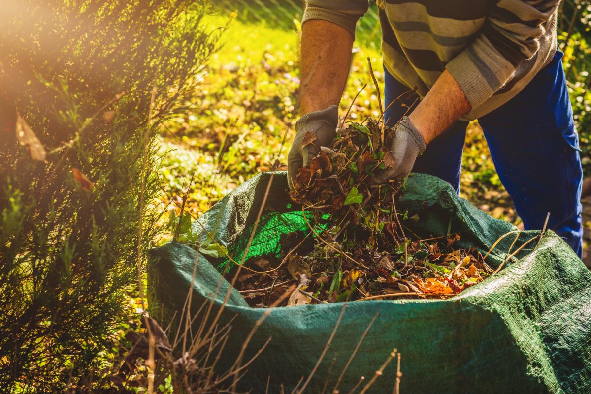 Yard Debris Removal Services Keeping Outdoor Areas Clean And Manageable